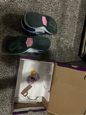 Nike women’s Navy and Pink Low-Top Sneakers